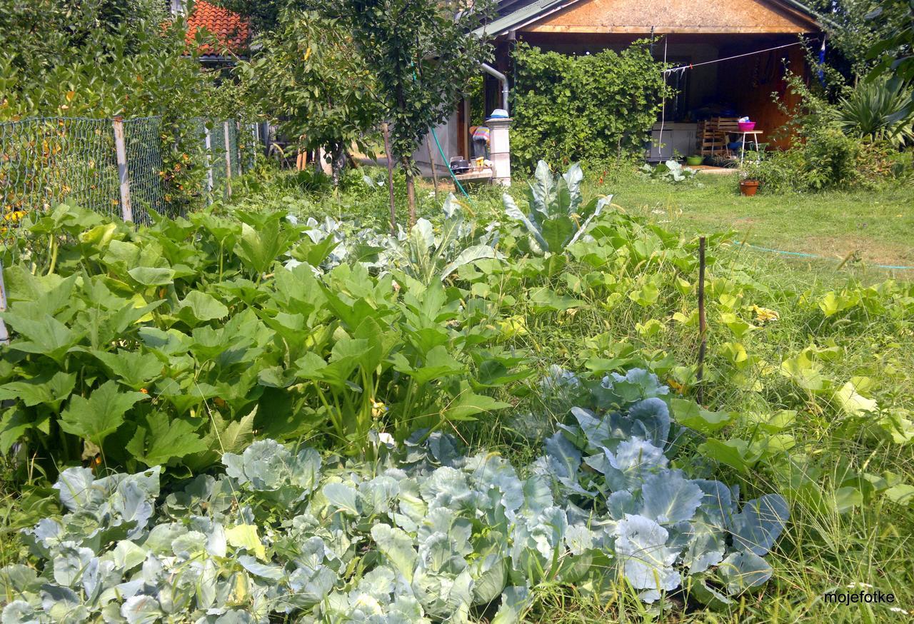 Biosphere Reserve Hostel Bogutovac Dış mekan fotoğraf