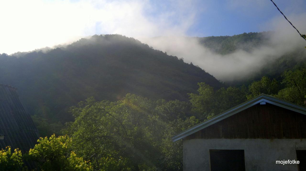 Biosphere Reserve Hostel Bogutovac Dış mekan fotoğraf